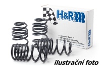 H&R sportovní pružiny Renault R5 E-Tech (90/110kW) -- od roku výroby 2024- (snížení přední nápravy 25-30mm, zadní 25-30mm) H&R sportovní pružiny Renault R5 E-Tech (90/110kW) -- od roku výroby 2024- (snížení přední nápravy 25-30mm, zadní 25-30mm)